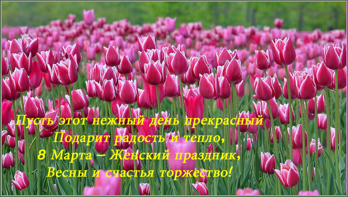 Приложение 98232657_1362727054_otkruytka_8_marta_33.jpg